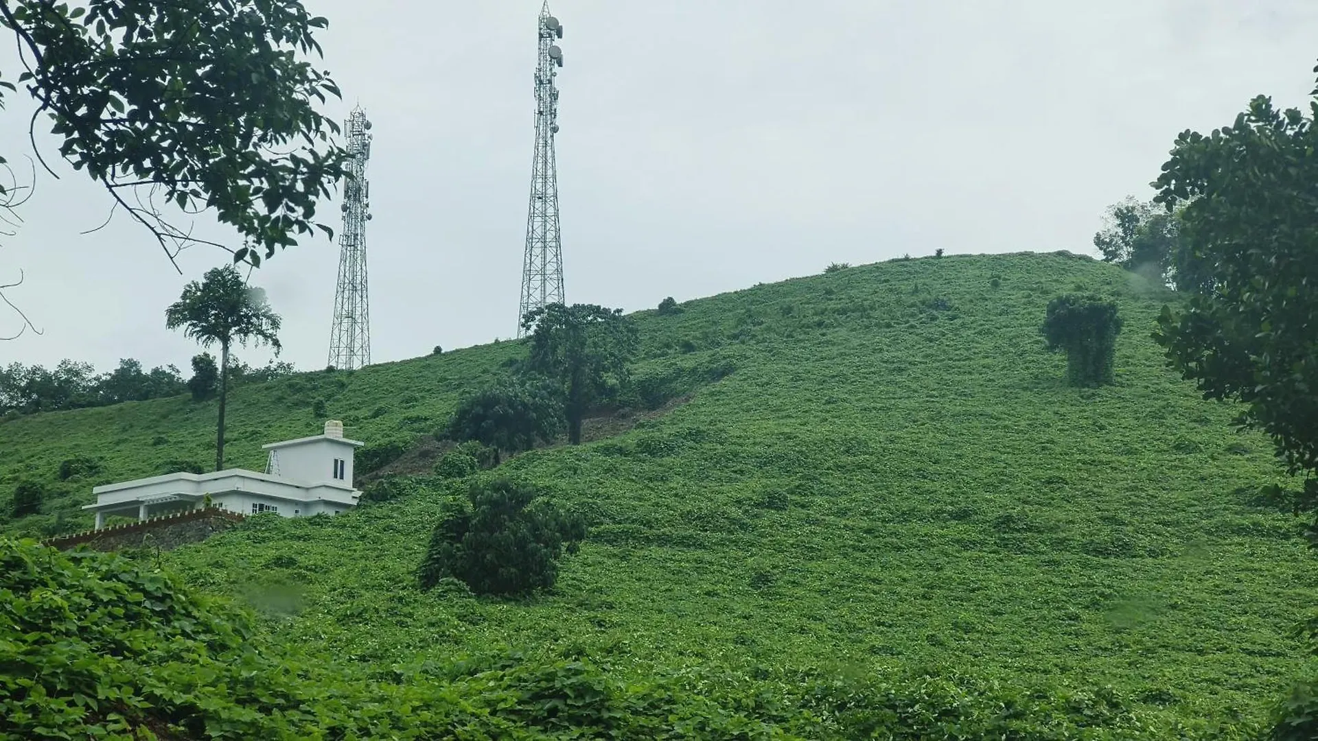 Rose Villa Farm Stay Paithalmala
