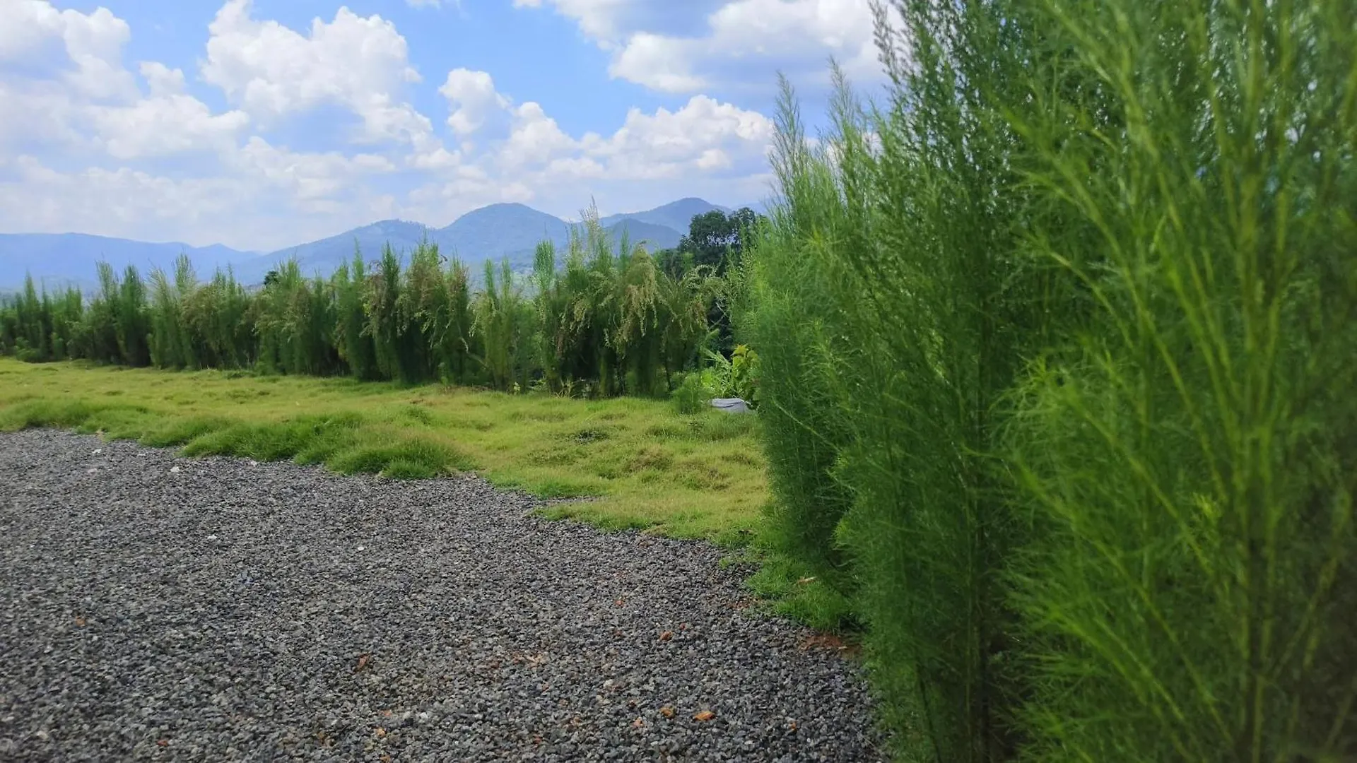 Rose Villa Farm Stay Paithalmala