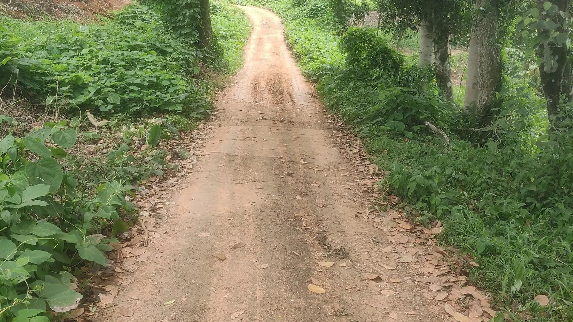 Rose Villa Farm Stay Paithalmala India